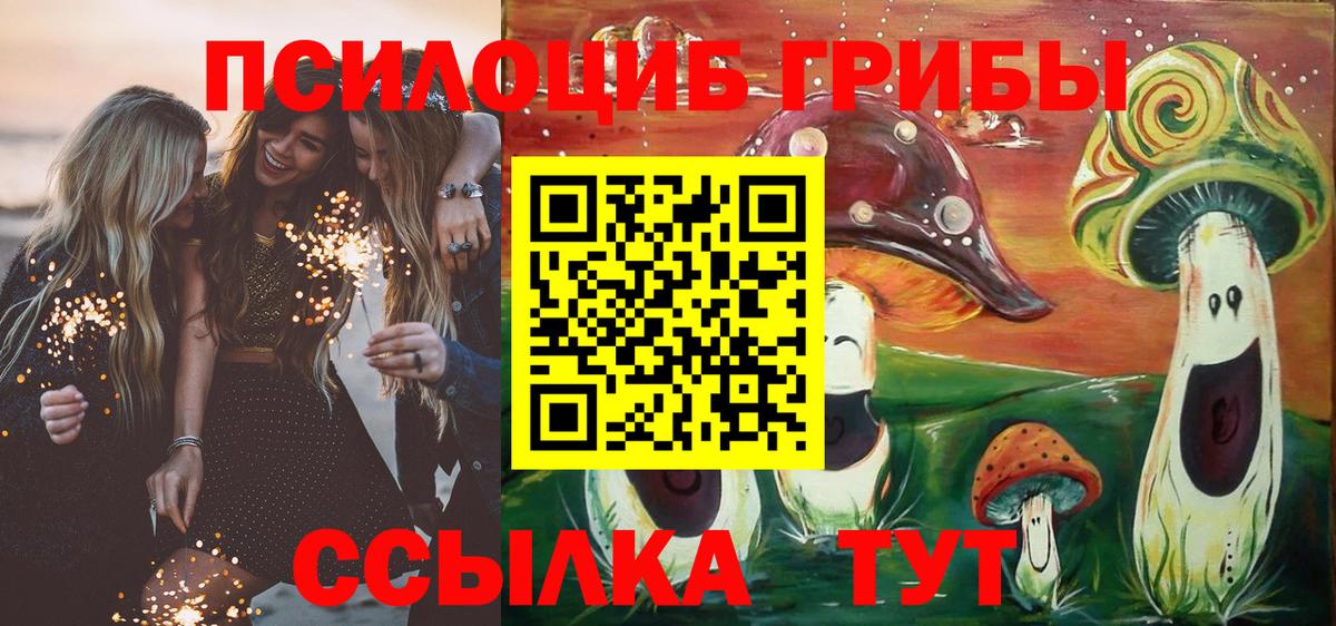 Псилоцибиновые грибы Cubensis Жуковский