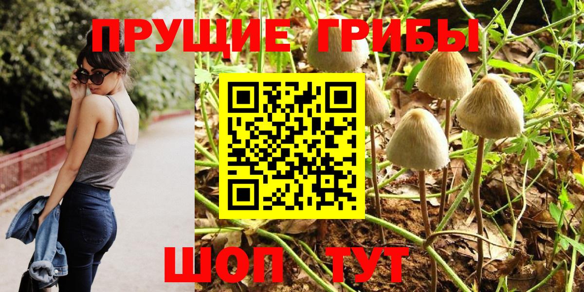 Галлюциногенные грибы прущие грибы  Вход с VPN  Галлюциногенные грибы ЛСД  Жуковский 